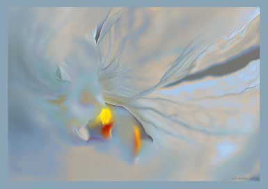 anna-arts_verfremdetes-foto_orchidee